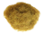 TRAWKA-Elektrostatyczna-na-makiete-5mm-Stepowa-Marka-MM-removebg-preview.png
