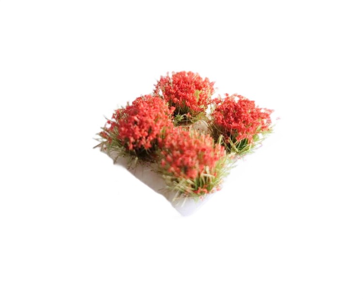 WhatsApp Image 2024-03-29 at 11.17.04 AM-photoaidcom--photoaid-remove-background.jpeg