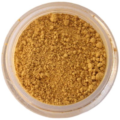 pigment 2-photoaidcom--photoaid-remove-background.jpg