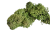 MECH-Premium-CHROBOTEK-KRZACZKI-Lesny-5g-Marka-inna-removebg-preview.png