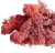 MECH-Premium-CHROBOTEK-KRZACZKI-Cynamonowy-5g-Marka-inna-removebg-preview.png