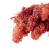 MECH-Premium-CHROBOTEK-KRZACZKI-Cynamonowy-5g-removebg-preview.png